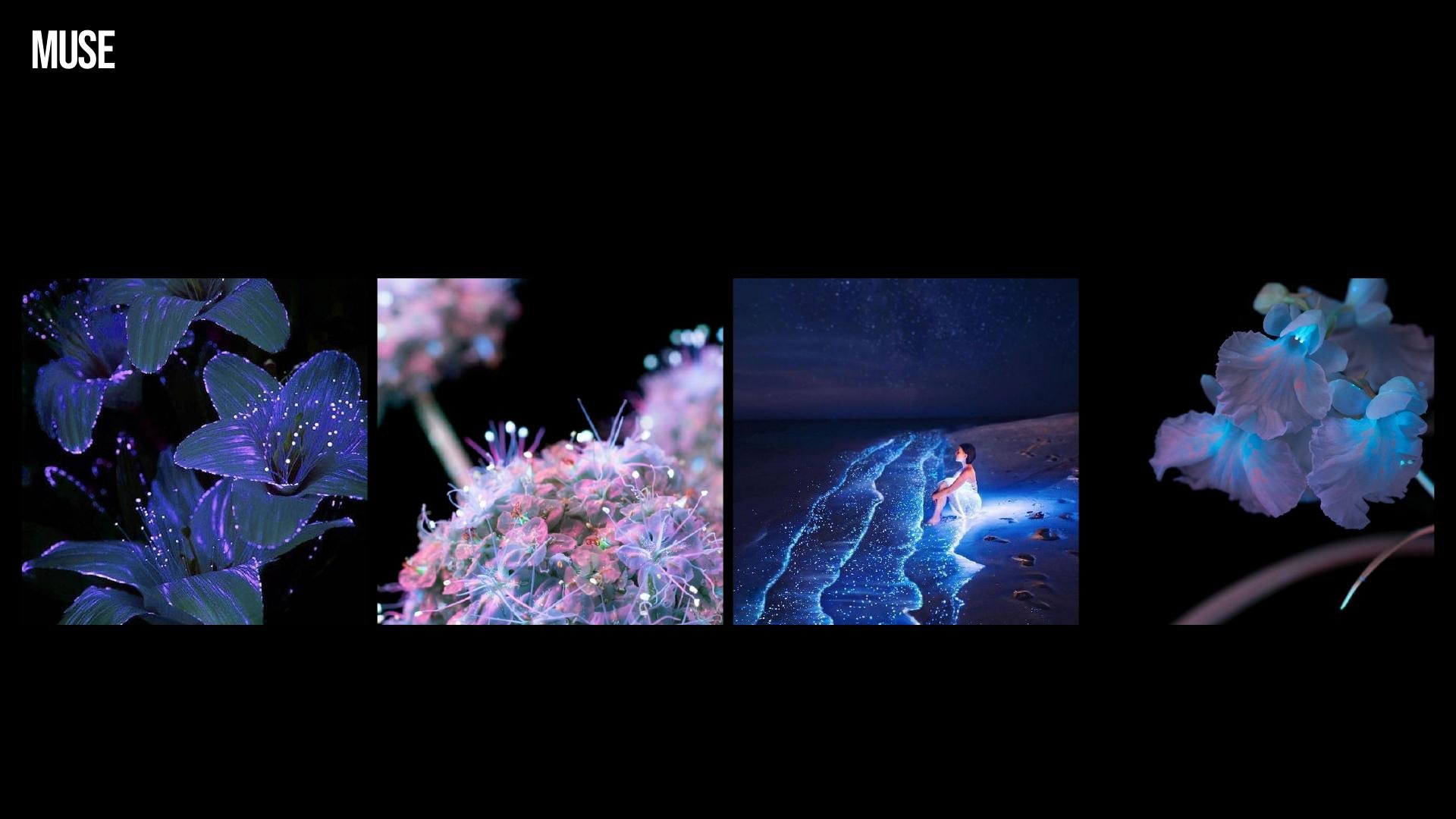 slide 21